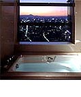 一休.com　パークハイアット東京　夜景の見える浴室